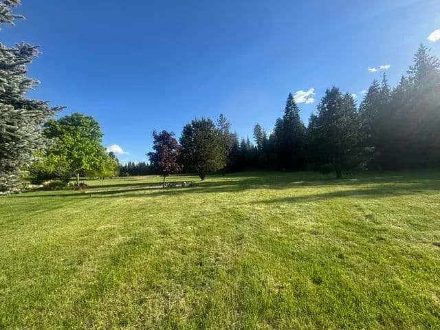Lush green park with trees under a clear blue sky, perfect for outdoor activities.