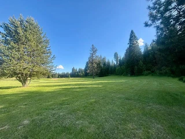 Vast green meadow surrounded by tall trees under a clear blue sky. Ideal for outdoor activities.