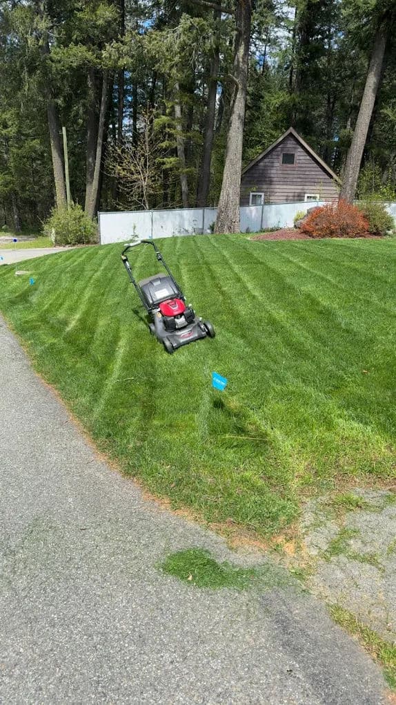 Lawn mower on striped green grass near a house and trees on a sunny day.